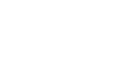 Guide